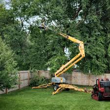 Best Leaf Removal  in Vandenberg Village, CA